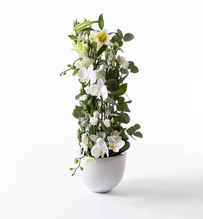 Hvit høy dekorasjon med orkidé